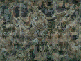 xm007551.gif