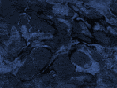 xm007546.gif