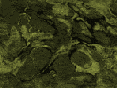 xm007545.gif