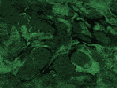 xm007544.gif