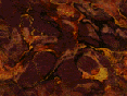 xm007543.gif