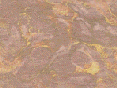 xm007542.gif