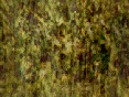 xm007541.gif