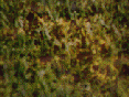 xm007540.gif