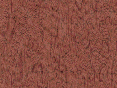 xm007537.gif