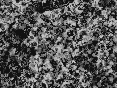 xm007536.gif