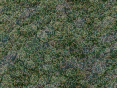 xm007532.gif