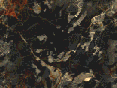 xm007531.gif