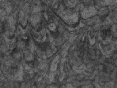 xm007530.gif