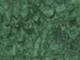 xm007527.gif