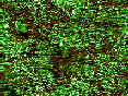 xm007521.gif