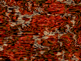 xm007520.gif