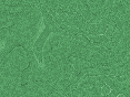 xm007513.gif