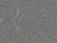 xm007512.gif