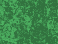 xm007511.gif