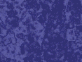 xm007508.gif