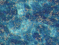 xm007507.gif
