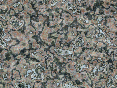 xm007506.gif