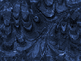 xm007504.gif