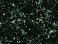 xm007496.gif