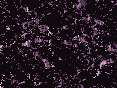 xm007494.gif