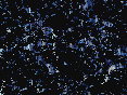 xm007493.gif