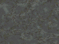 xm007492.gif