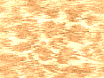 xm007490.gif