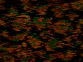 xm007489.gif