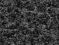 xm007488.gif