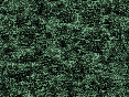 xm007484.gif