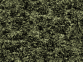 xm007483.gif