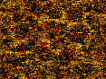 xm007481.gif