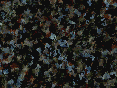 xm007480.gif