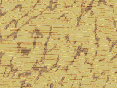 xm007478.gif