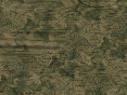 xm007475.gif