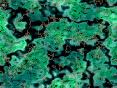 xm007469.gif