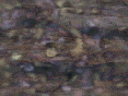 xm007466.gif