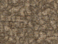 xm007465.gif