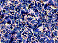 xm007462.gif
