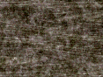 xm007449.gif