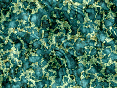 xm007448.gif