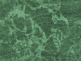 xm007444.gif