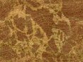 xm007442.gif