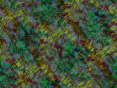 xm007441.gif