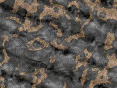 xm007440.gif