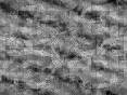 xm007430.gif