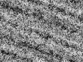 xm007428.gif