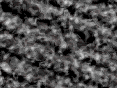 xm007427.gif