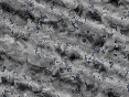 xm007426.gif